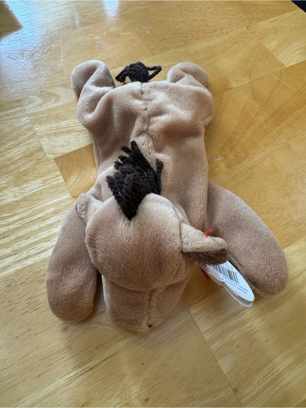 Ty Beanie Babies “Derby”
